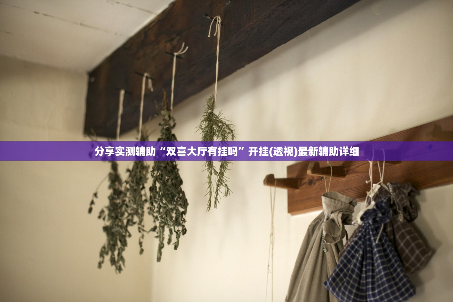 2026首发科技“白金岛长沙麻将怎么开挂”开挂(透视)辅助神器
