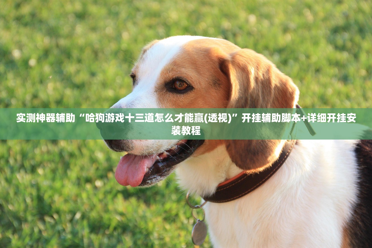 实测神器辅助“哈狗游戏十三道怎么才能赢(透视)”开挂辅助脚本+详细开挂安装教程
