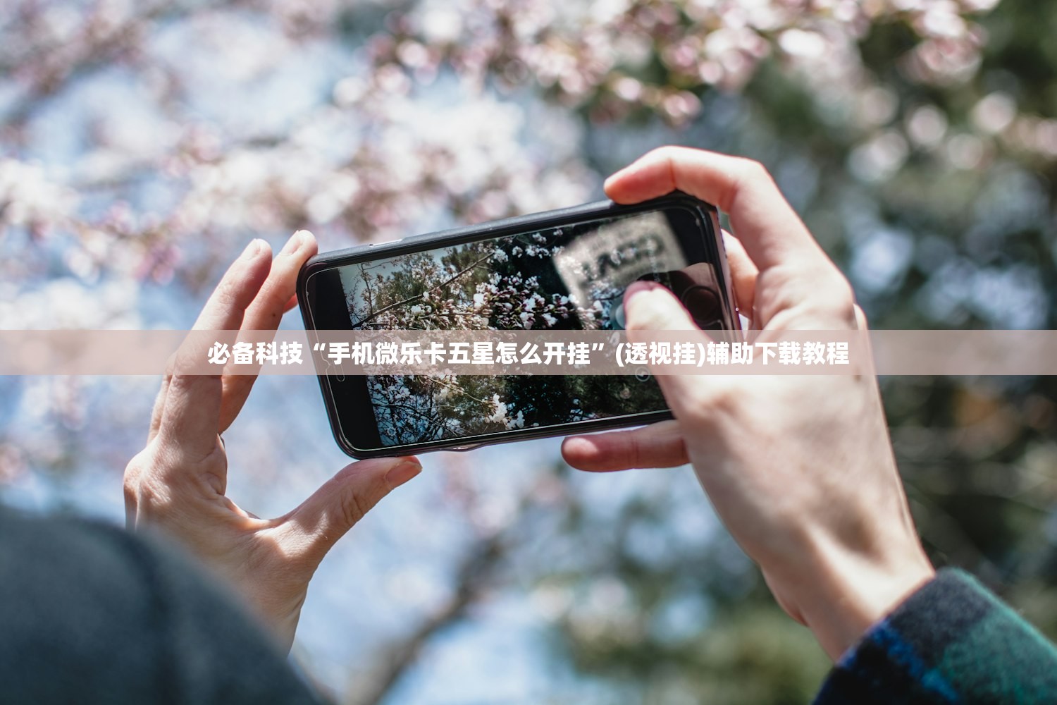 哈尔滨75号公告/哈尔滨8月19日27号公告