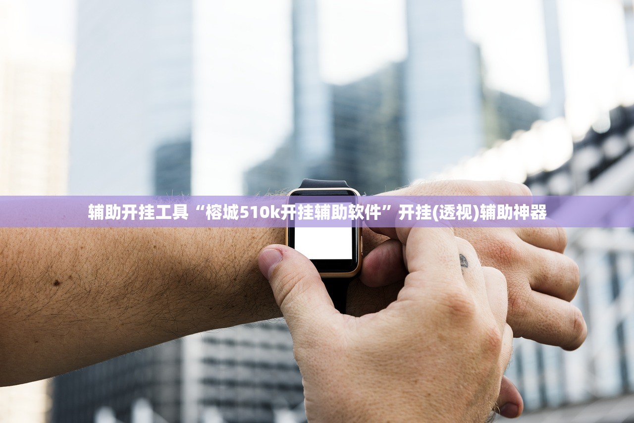 辅助开挂工具“榕城510k开挂辅助软件”开挂(透视)辅助神器