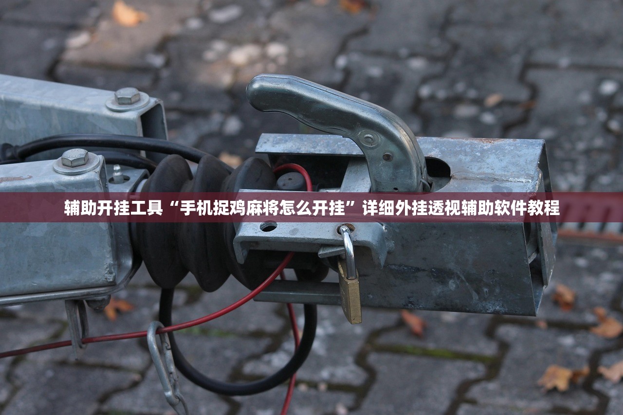 开挂辅助工具“微乐麻将挂怎么安装(透视)”开挂辅助脚本+详细开挂安装教程