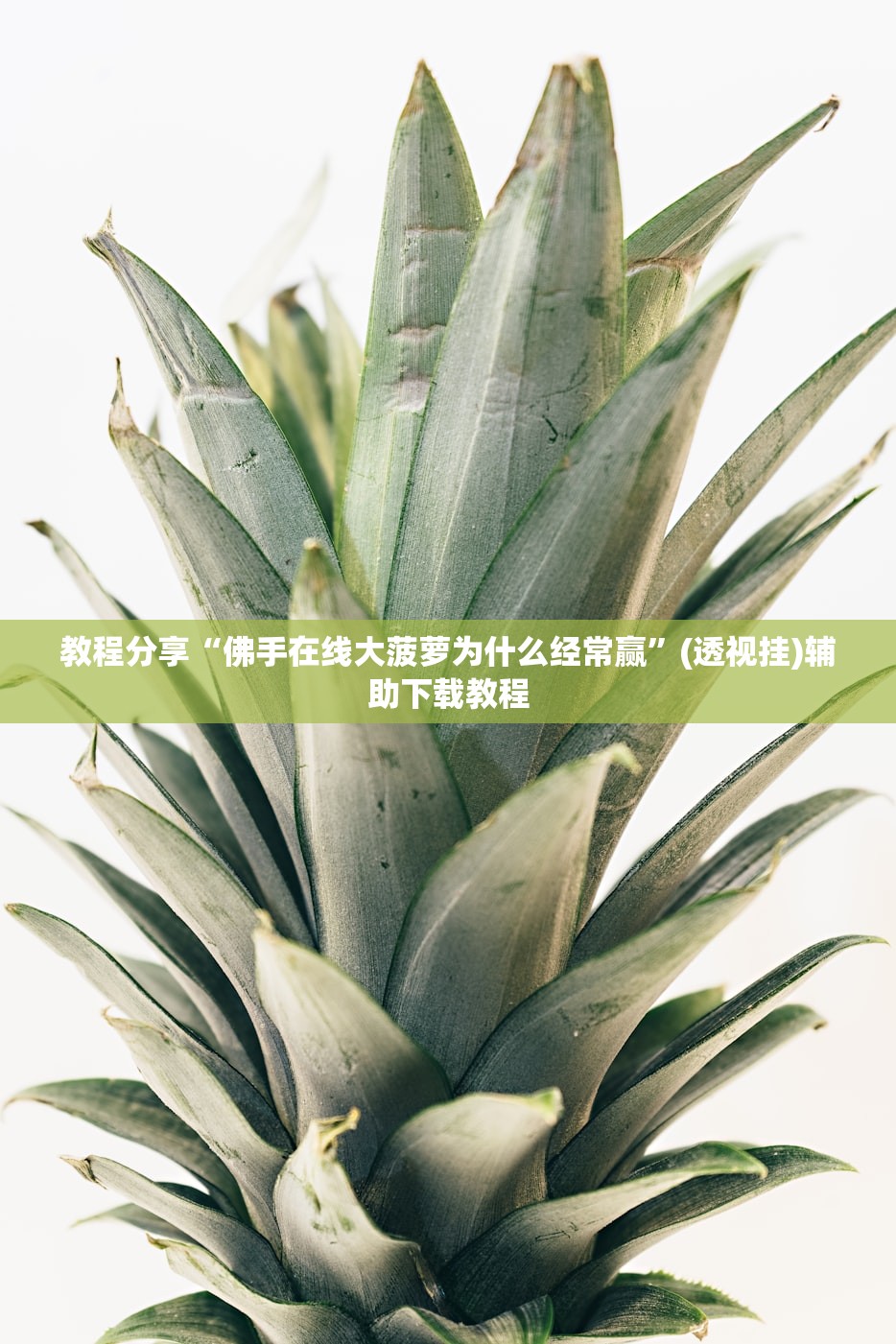 教程分享“佛手在线大菠萝为什么经常赢”(透视挂)辅助下载教程