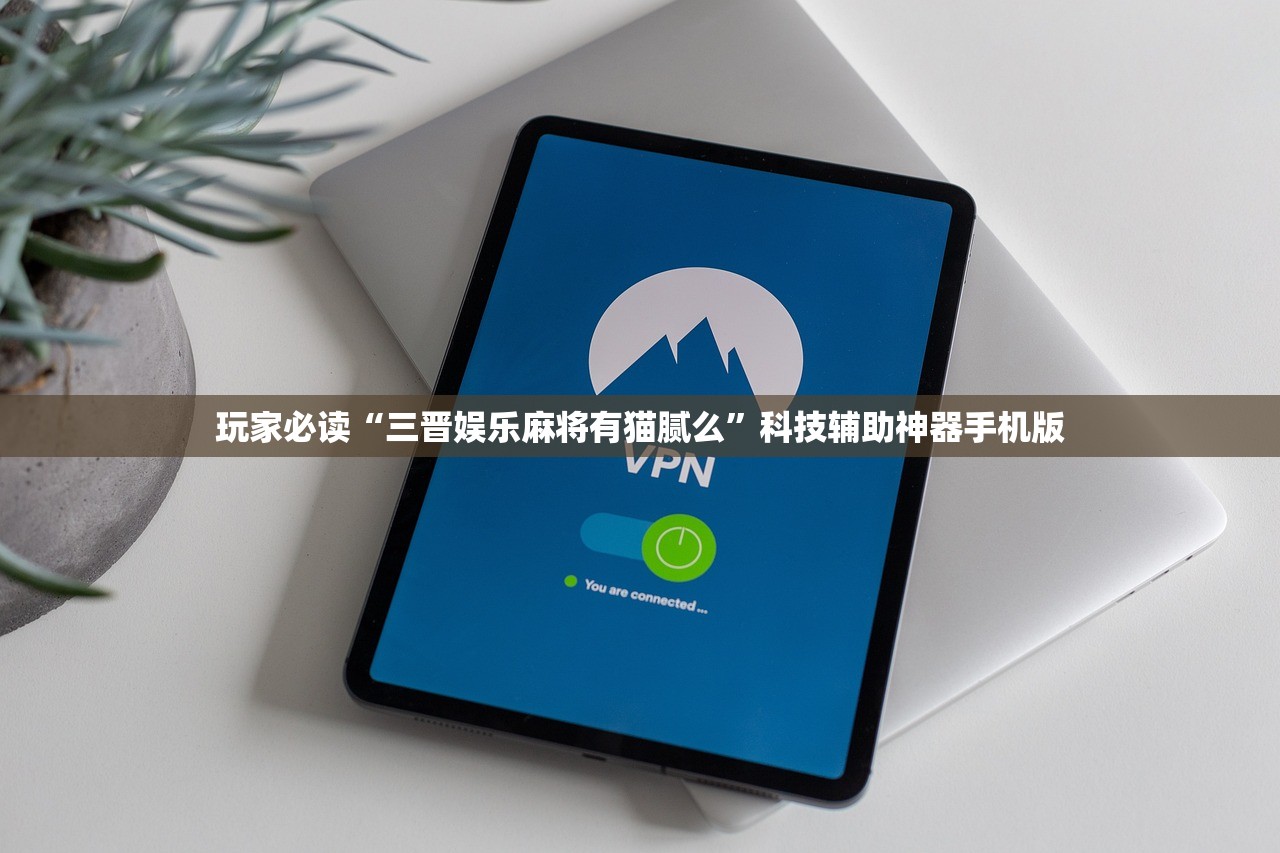 玩家必读“三晋娱乐麻将有猫腻么”科技辅助神器手机版