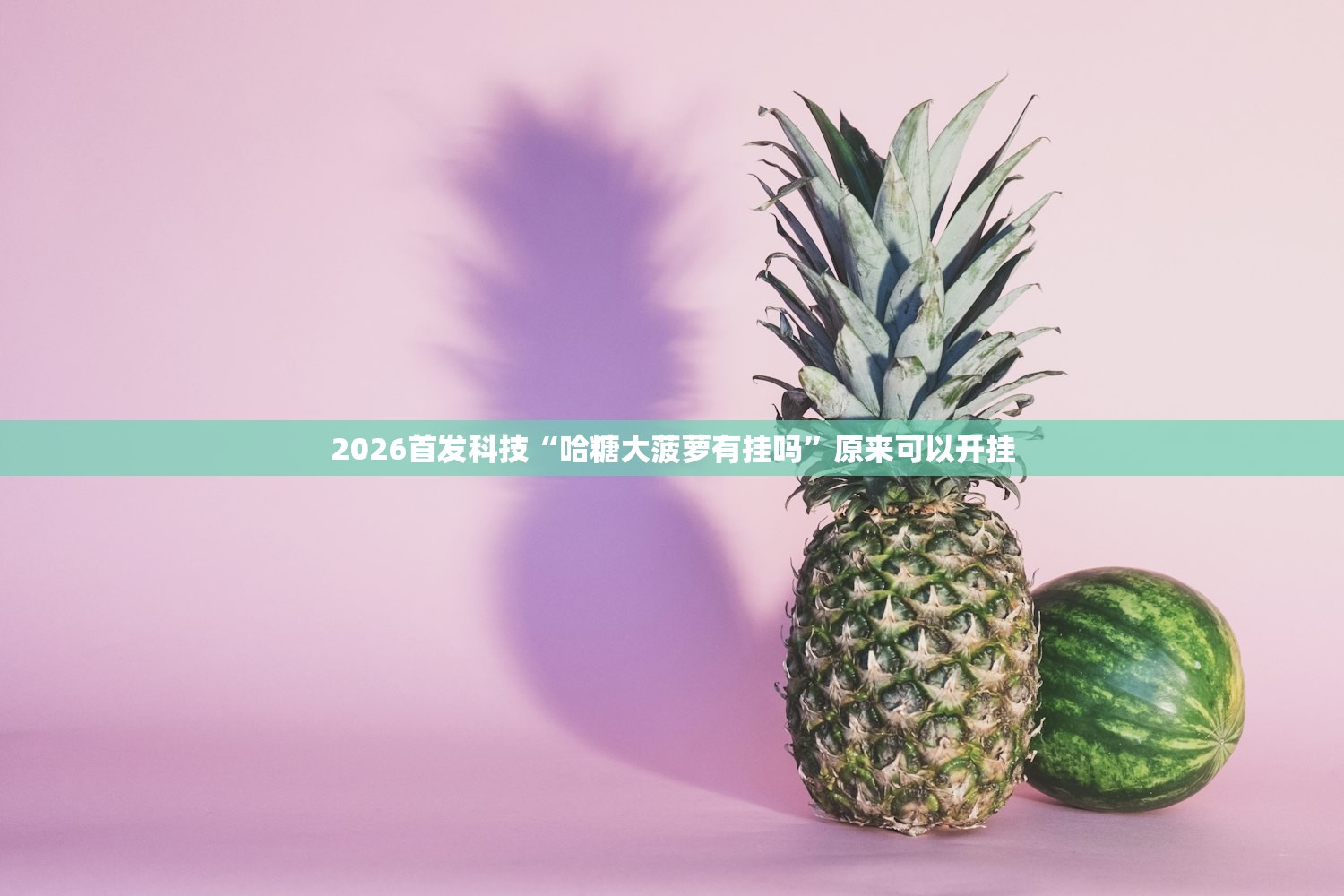 开挂辅助工具“多乐红中麻将有挂吗”详细外挂透视辅助软件教程