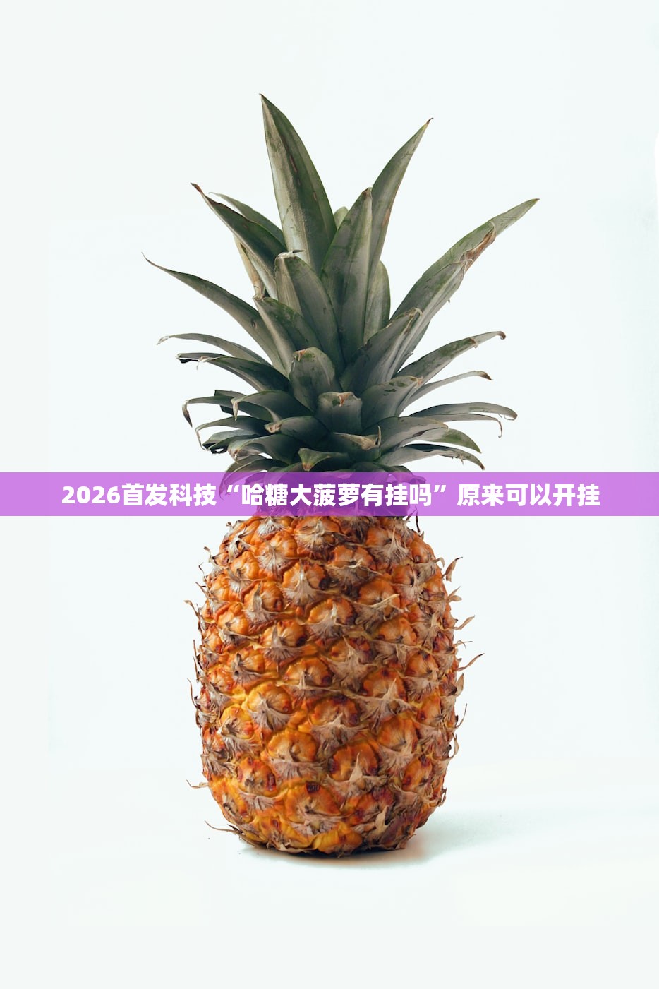 2026首发科技“哈糖大菠萝有挂吗	”原来可以开挂