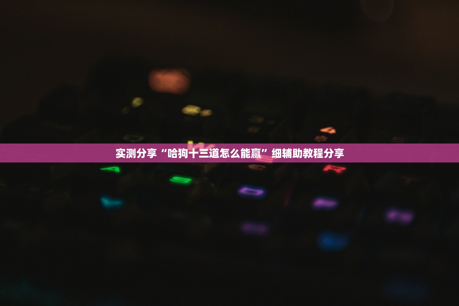 实测分享“哈狗十三道怎么能赢”细辅助教程分享