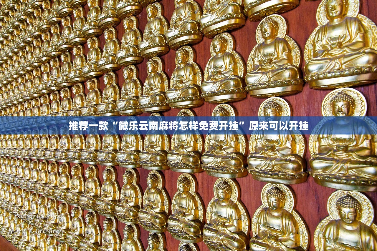 推荐一款“微乐云南麻将怎样免费开挂”原来可以开挂