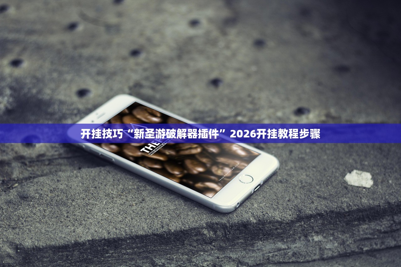开挂技巧“新圣游破解器插件”2026开挂教程步骤