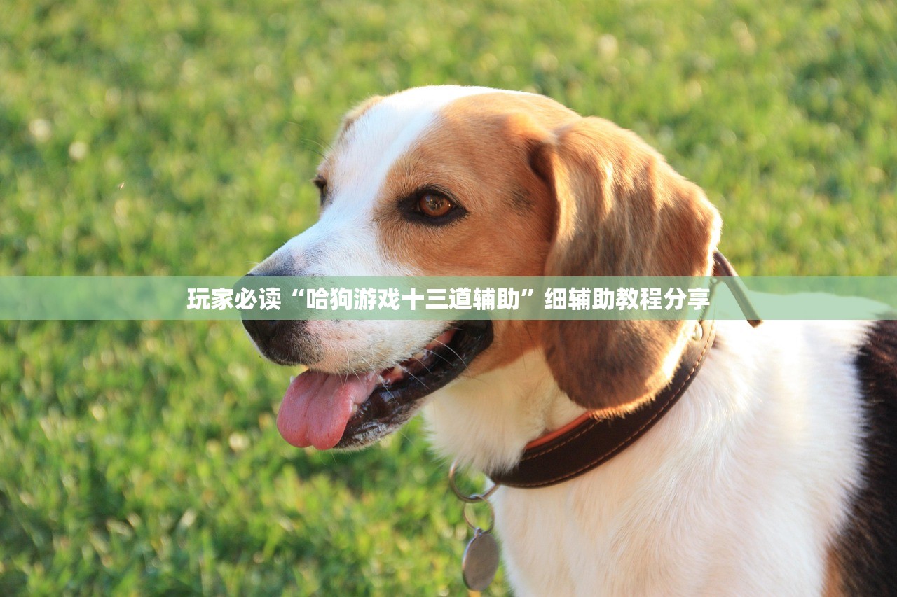 无症状感染者14天后会自愈吗:无症状感染者过14天是否就安全了