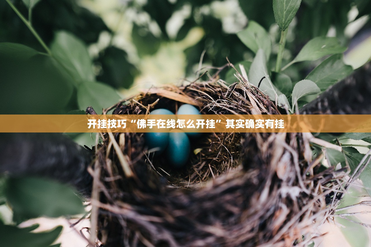 开挂技巧“佛手在线怎么开挂”其实确实有挂
