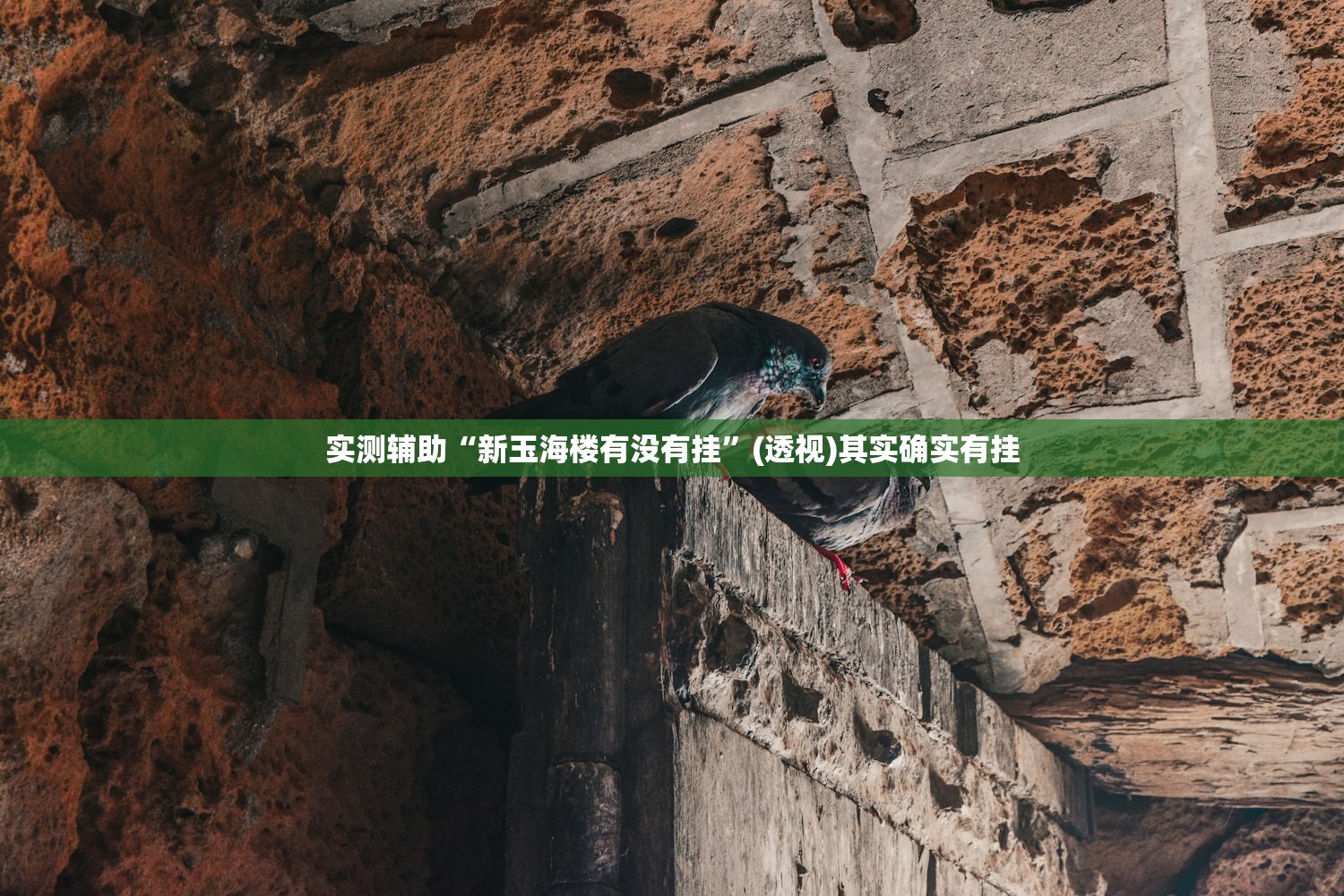 【沈阳肺炎病例/沈阳肺炎病例轨迹查询】