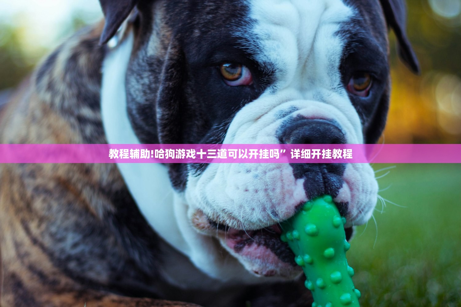 马来西亚疫情最新情况/马来西亚最新动态