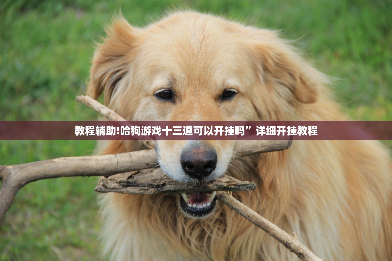 教程辅助!哈狗游戏十三道可以开挂吗”详细开挂教程