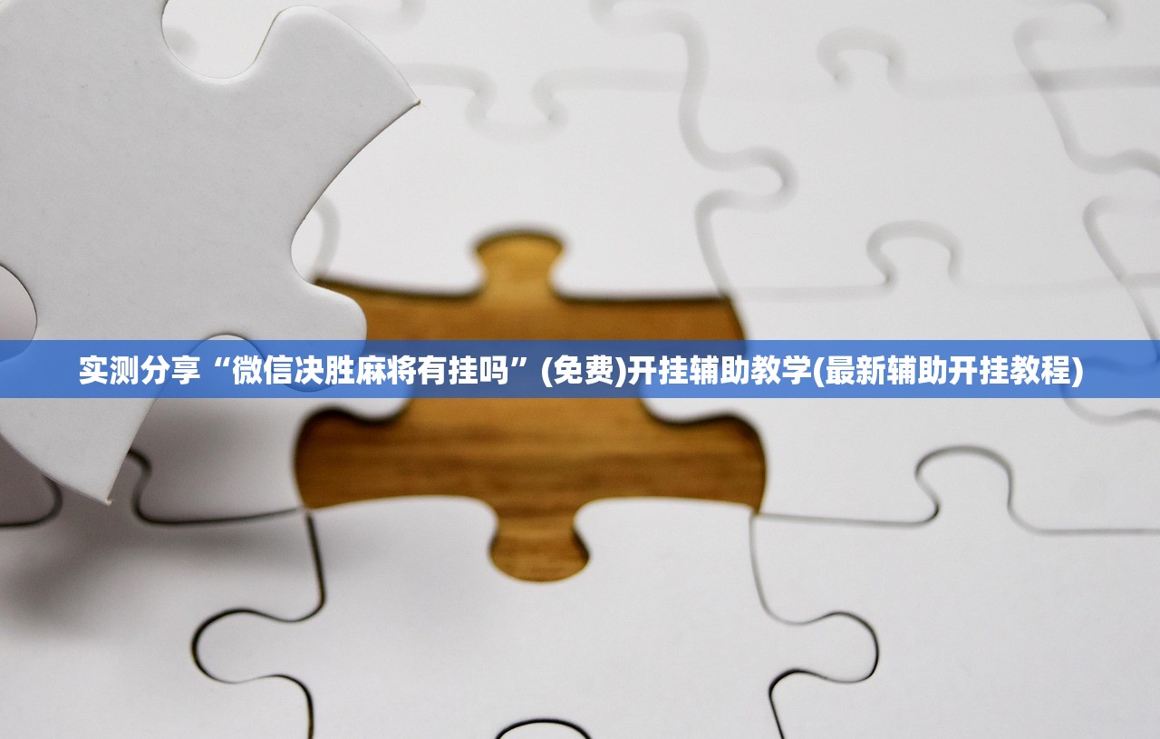 开挂技巧“手机十三张辅助器”开挂(透视)最新辅助详细