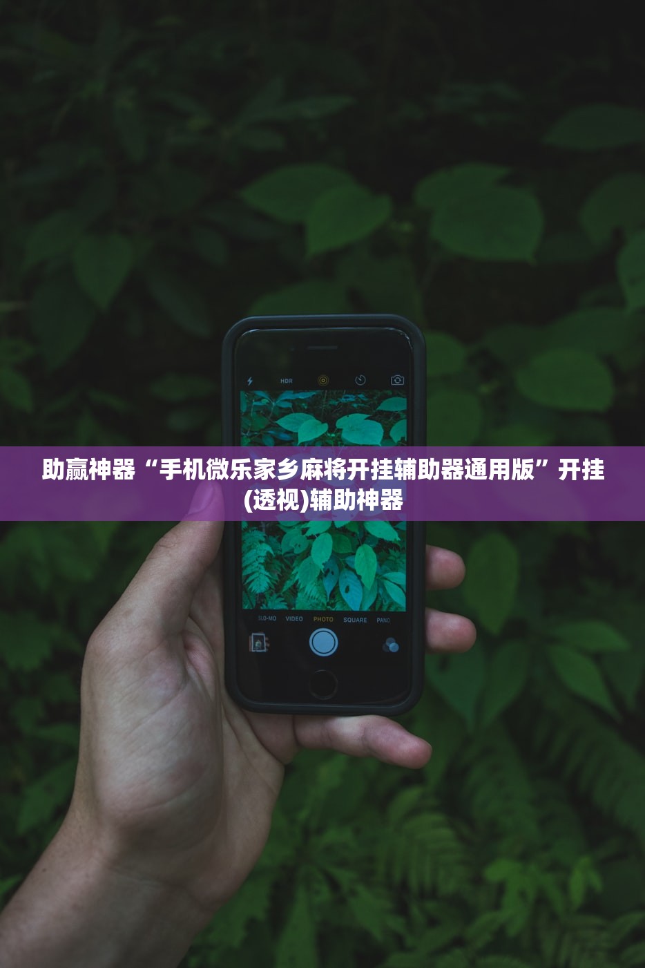 助赢神器“手机微乐家乡麻将开挂辅助器通用版”开挂(透视)辅助神器