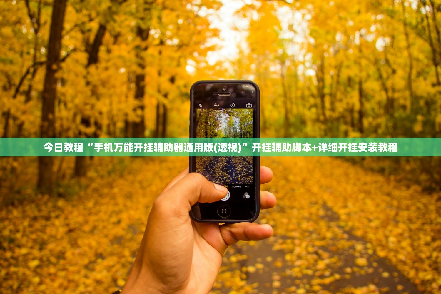 今日教程“手机万能开挂辅助器通用版(透视)”开挂辅助脚本+详细开挂安装教程