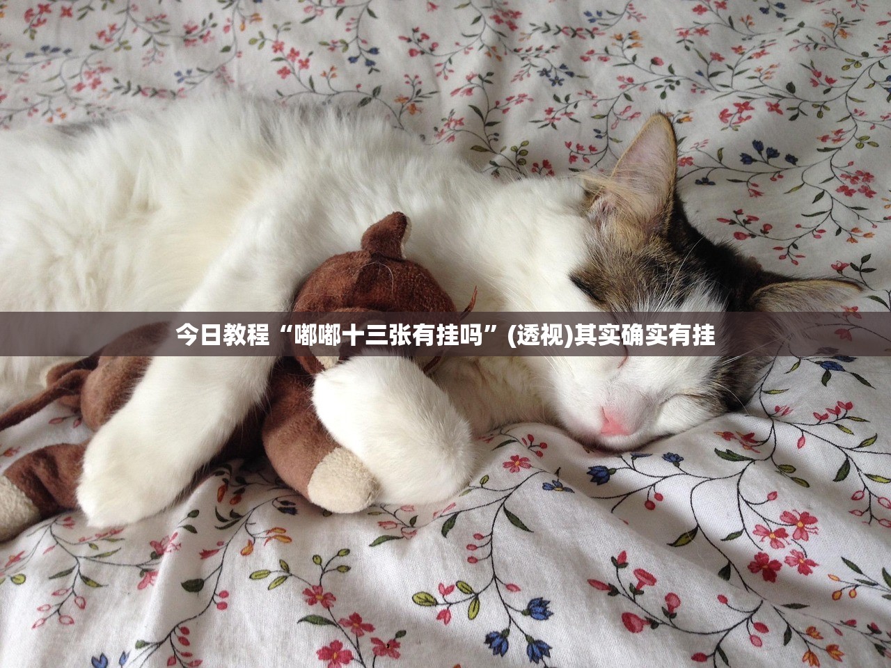 必备科技“锦绣乐游麻将免费挂”(免费)开挂辅助教学(最新辅助开挂教程)