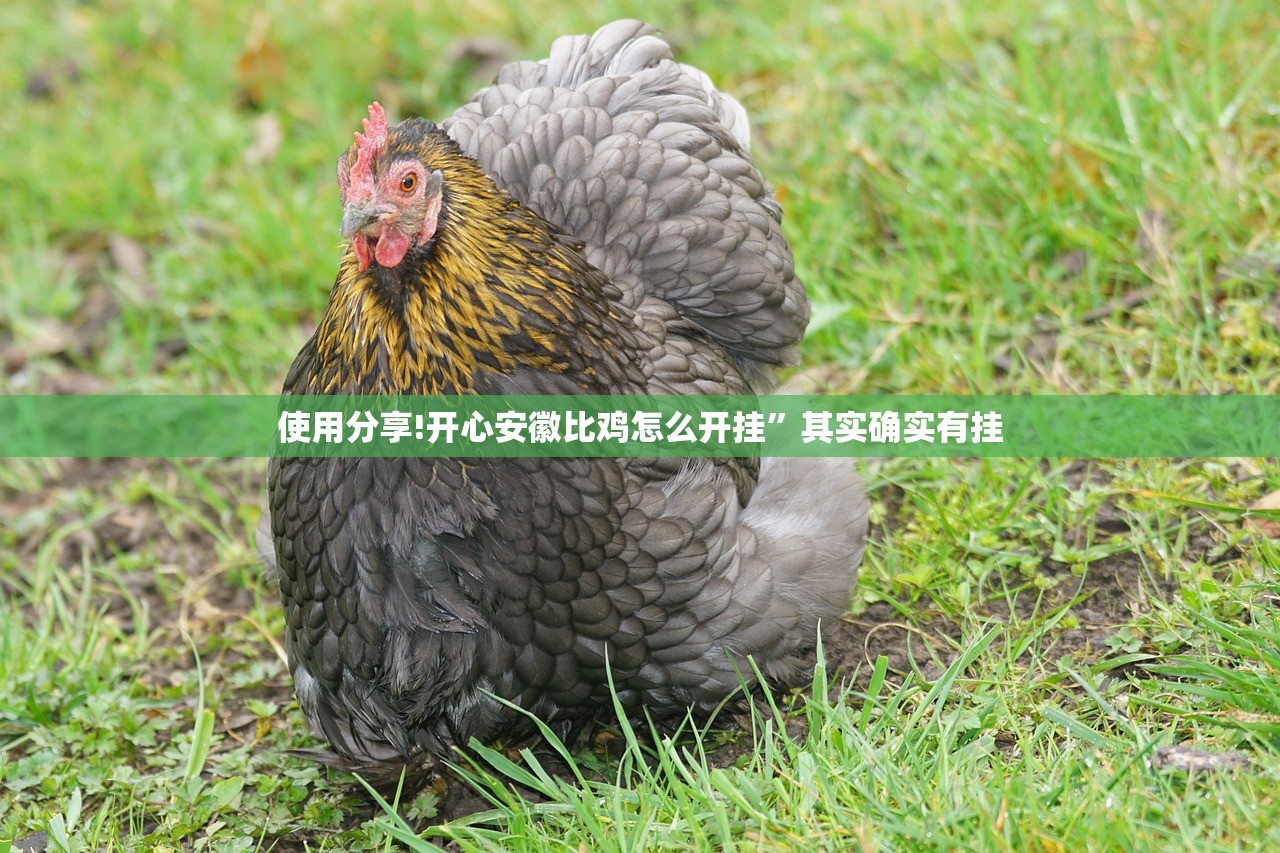使用分享!开心安徽比鸡怎么开挂”其实确实有挂